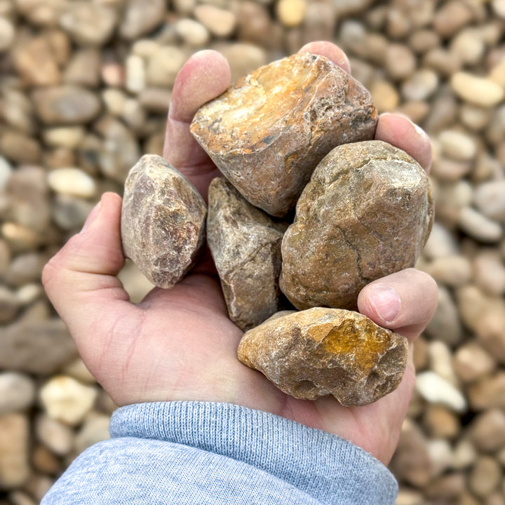 2in Texas Blend