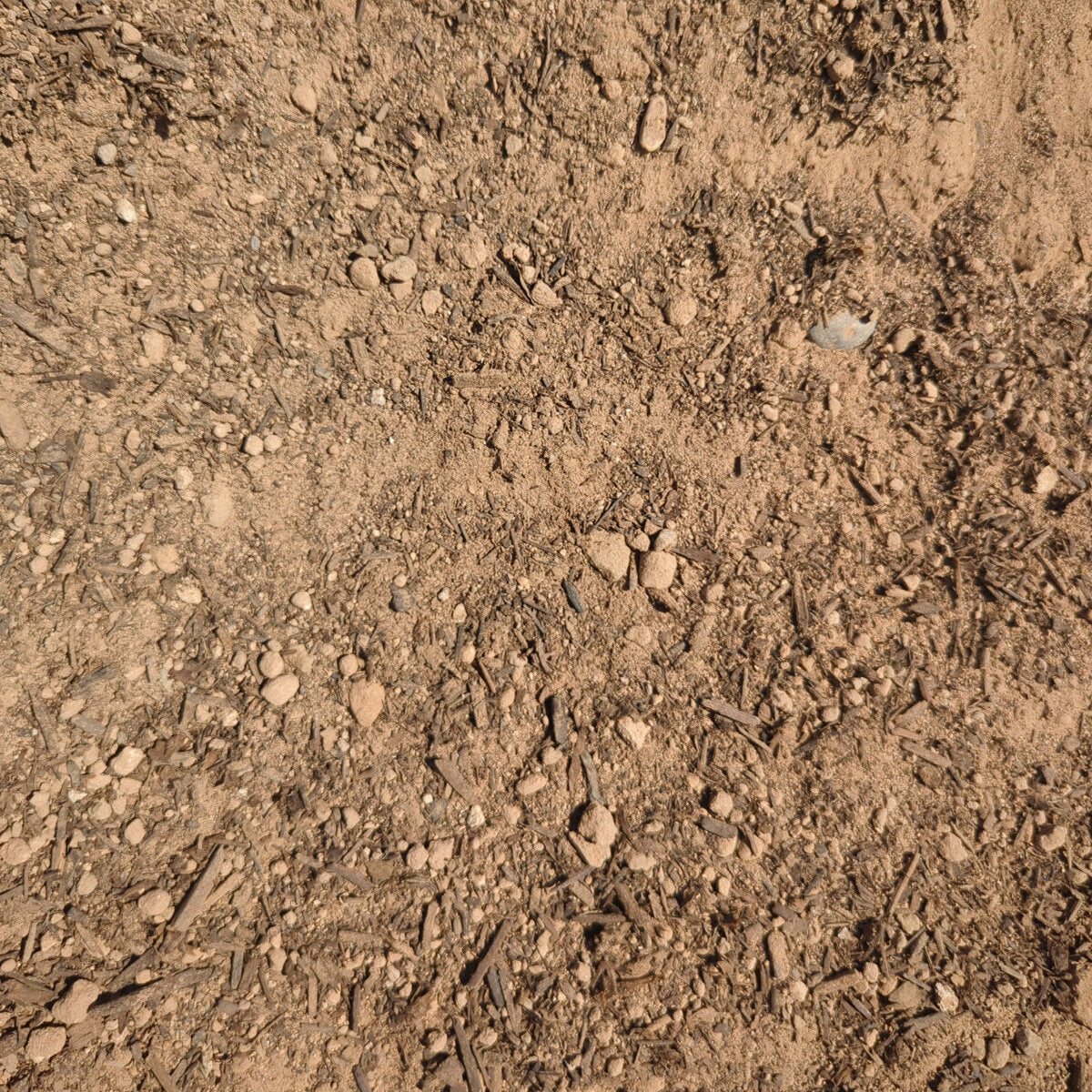 Sandy Loam Top Soil