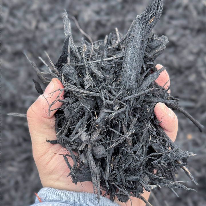 Black Mulch