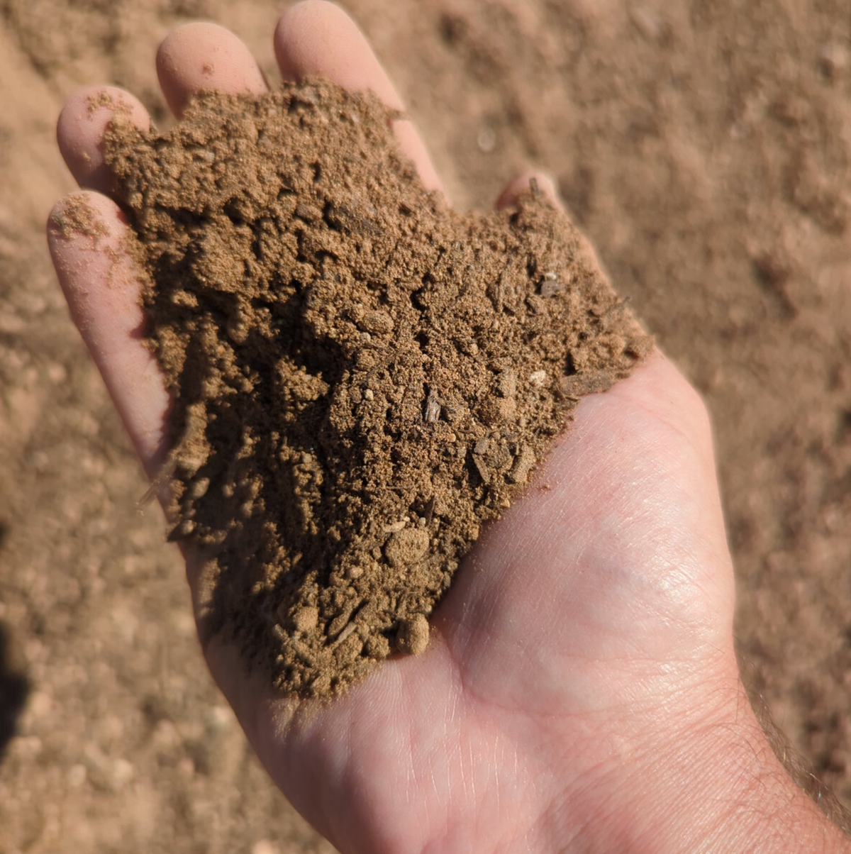Sandy Loam Top Soil