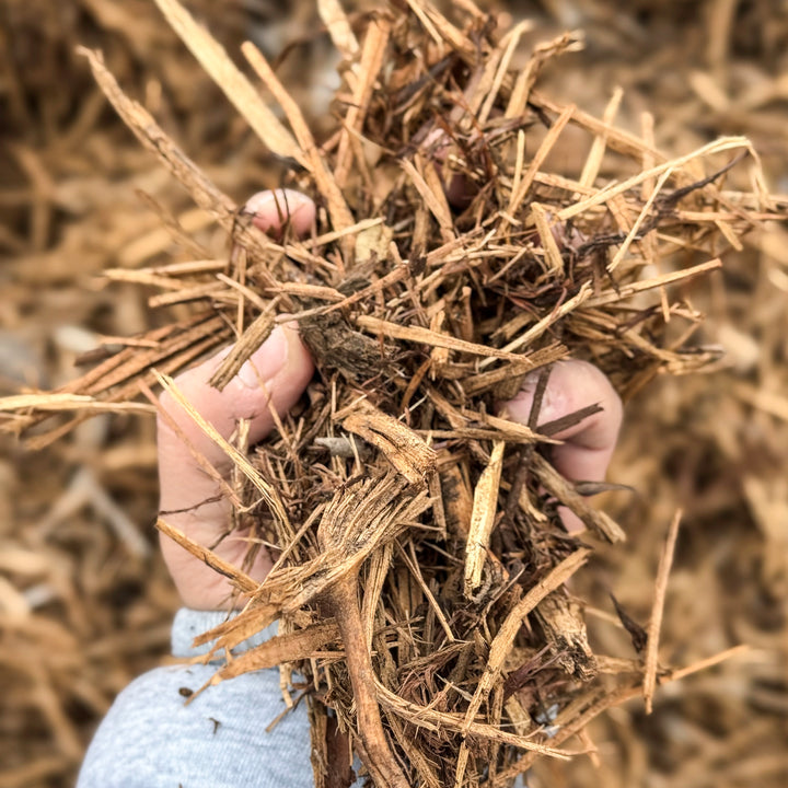 Shredded Pine Mulch (Single)